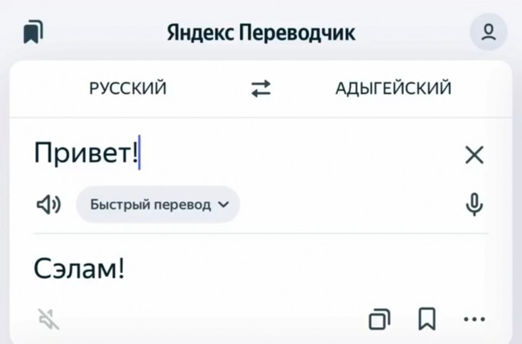 Adyghe Language Integrated into Yandex.Translate Service Through Data Collected by Experts from Adyghe State University